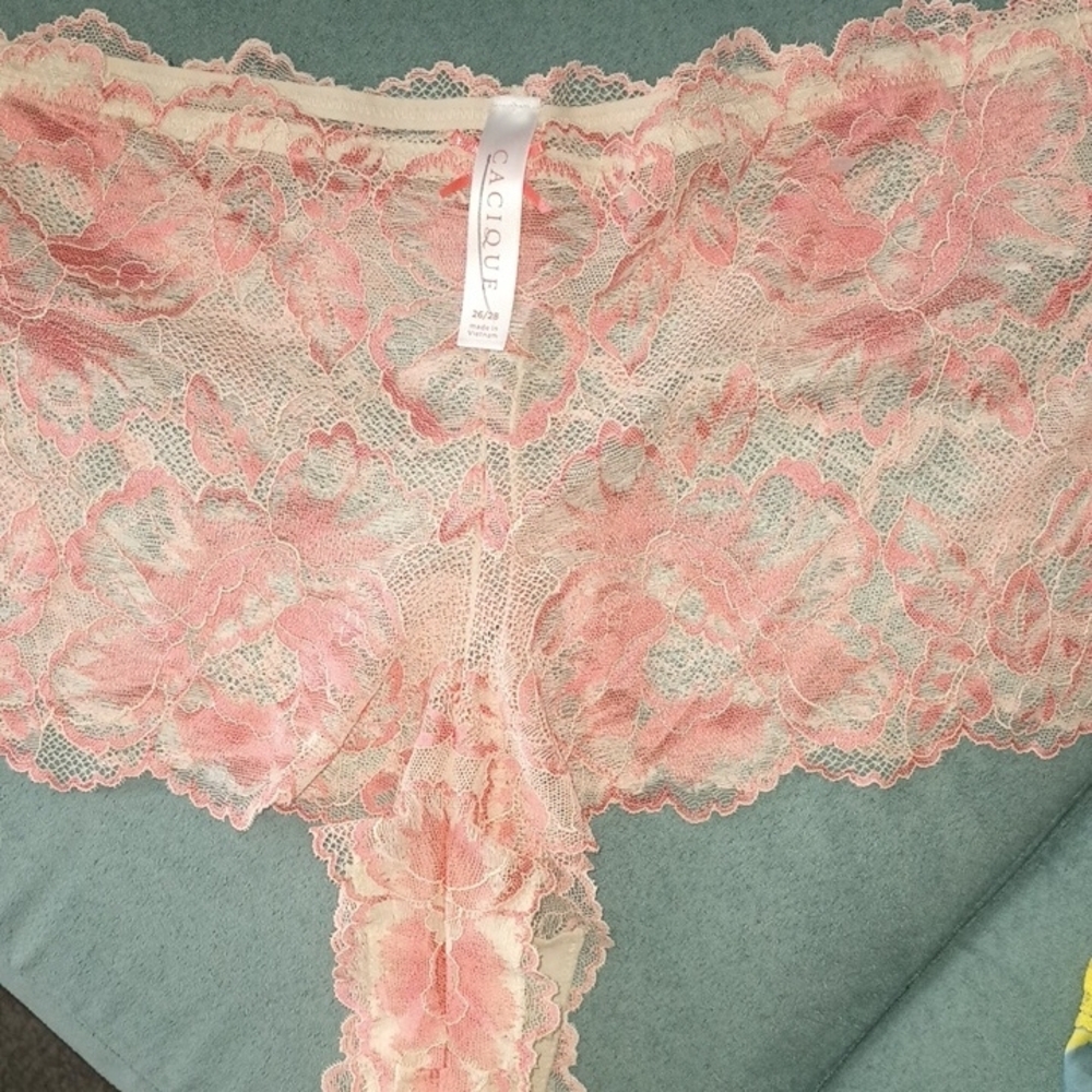Panties Cacique 26/28 4X Cheeky Set of 3 Lace Sheer Mesh Sexy Panty Lane Bryant - Picture 3 of 5